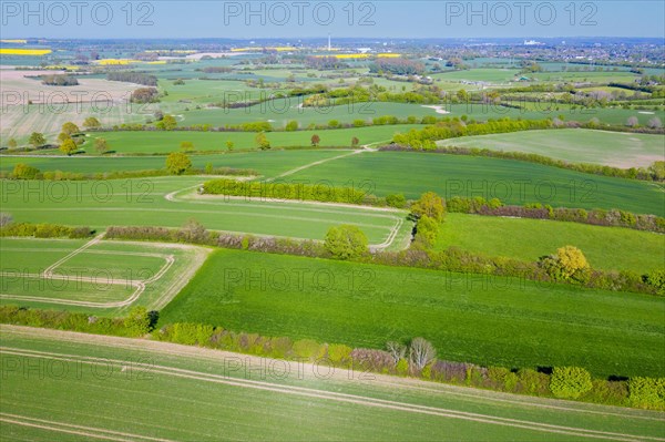 Aerial view over rural bocage landscape with fields and pastures, patchwork of plots surrounded by hedges and hedgerows, Schleswig-Holstein, Germany, Europe