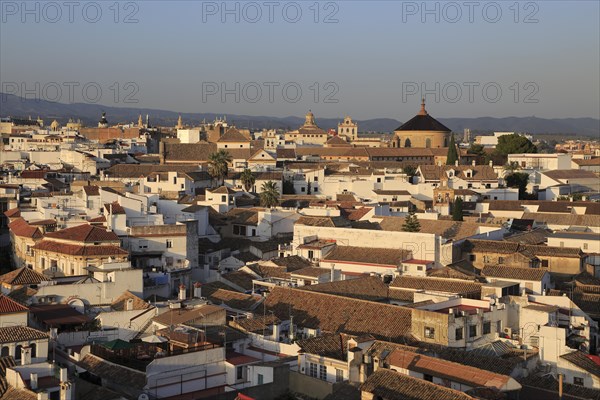 Oblique raised angle view of historic city centre buildings, Cordoba, Spain, Europe