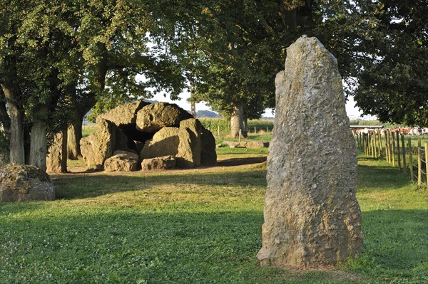 Megalithic Grand Dolmen de Weris and menhir made of conglomerate rock, Belgian Ardennes, Luxembourg, Belgium, Europe