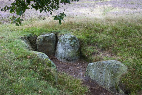 Passage grave at Oldendorfer Totenstatt, group of six burial mounds and megalith sites in Oldendorf near Amelinghausen, Lueneburg Heath, Lower Saxony, Germany, Europe