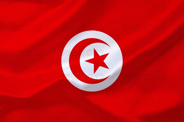 The flag of Tunisia, Africa, North Africa, Studio