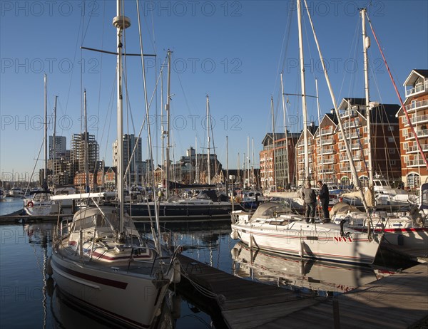 Yachts moored in marina in the Wet Dock, Ipswich, Suffolk, England, UK