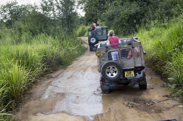 Elephant safari in Hurulu Eco Park biosphere reserve, Habarana, Anuradhapura District, Sri Lanka, Asia