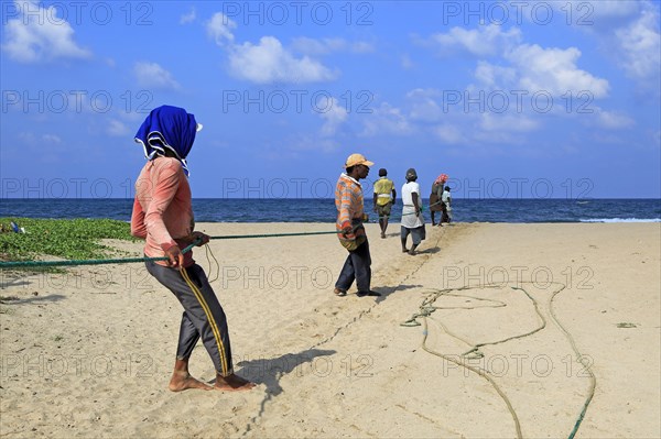 Traditional fishing hauling nets Nilavelli beach, near Trincomalee, Eastern province, Sri Lanka, Asia