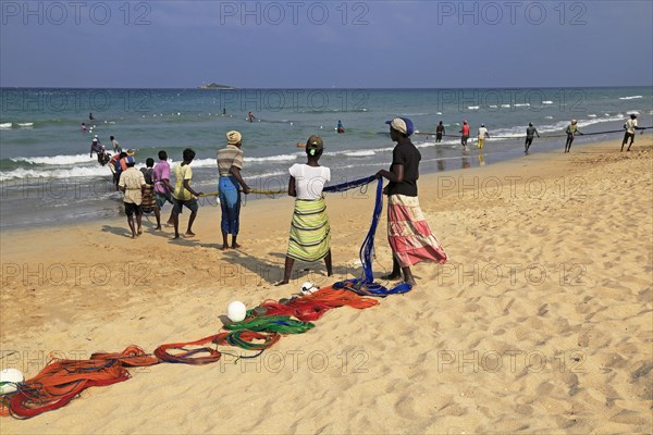 Traditional fishing hauling nets Nilavelli beach, near Trincomalee, Eastern province, Sri Lanka, Asia