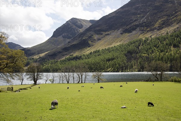 Landscape view of Lake Buttermere, Cumbria, England, UK