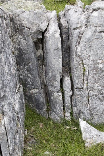 Close up of joints in carboniferous limestone enlarged by chemical weathering, Yorkshire Dales national park, England, UK