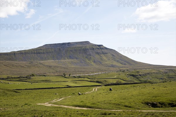 Carboniferous limestone scenery, Ingleborough Hill, Yorkshire Dales national park, England, UK