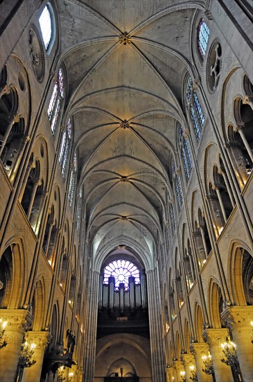 Ceiling view, Notre-Dame de Paris Cathedral, Ile de la Cite, 4th arrondissement, Paris, France, Europe