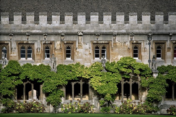 Cloisters of the Great Quad of the Magdalen College of the Oxford University, Oxfordshire, England, UK