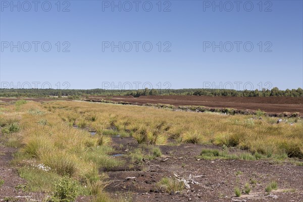 Peat extraction at Totes Moor, Tote Moor, raised bog near Neustadt am Ruebenberge, district of Hannover, Lower Saxony, Niedersachsen, Germany, Europe