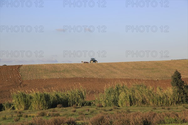Tractor ploughing ridge along hillside in countryside near Vejer de la Fronterra, Cadiz Province, Spain, Europe