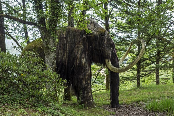 Replica of woolly mammoth (Mammuthus primigenius) at the Le Thot museum about prehistoric animals and Paleolithic art found in the Lascaux cave, Thonac near Montignac, Dordogne, France, Europe