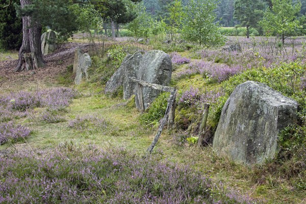 Passage grave at Oldendorfer Totenstatt, group of six burial mounds and megalith sites in Oldendorf near Amelinghausen, Lueneburg Heath, Lower Saxony, Germany, Europe