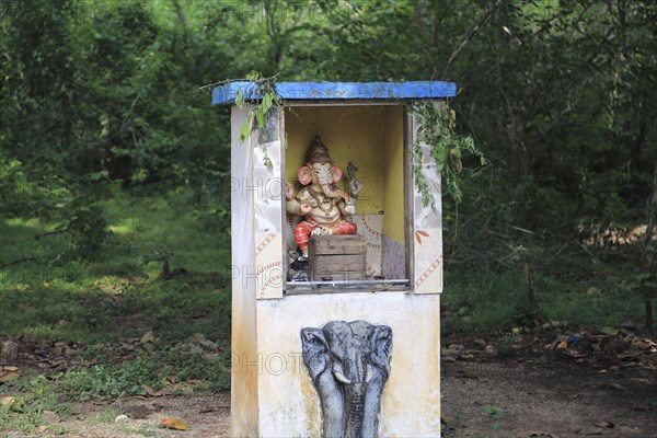 Roadside Hindu shrine near Sigiriya, Central Province, Sri Lanka, Asia