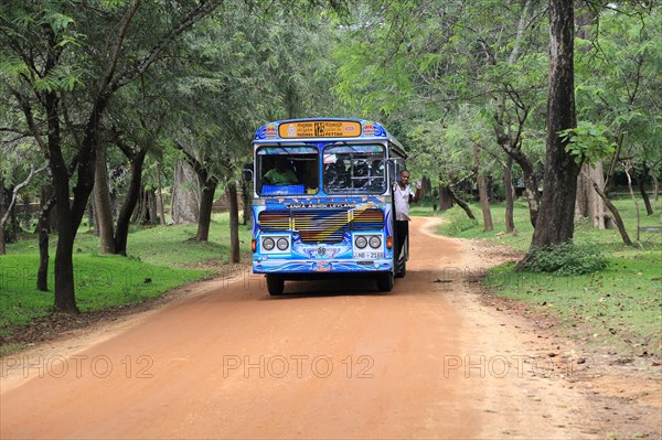 Colourful Lanka Ashok Leyland bus, Polonnaruwa, North Central Province, Sri Lanka, Asia