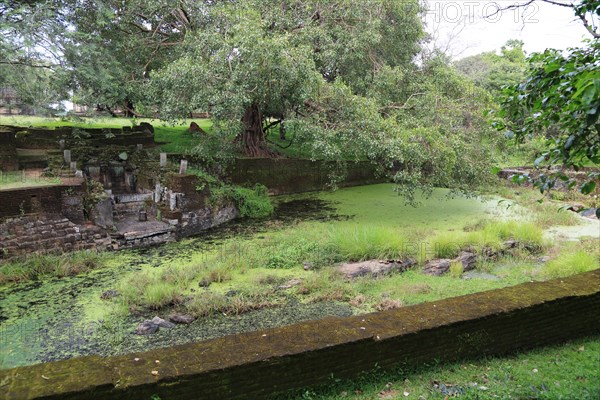 Royal Baths, Island Park, UNESCO World Heritage Site, the ancient city of Polonnaruwa, Sri Lanka, Asia