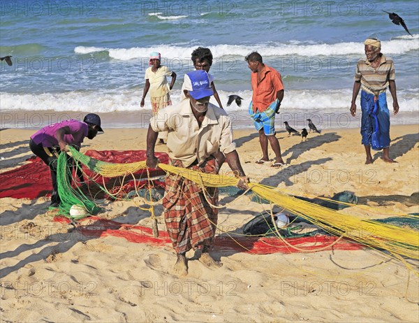 Traditional fishing hauling nets Nilavelli beach, near Trincomalee, Eastern province, Sri Lanka, Asia