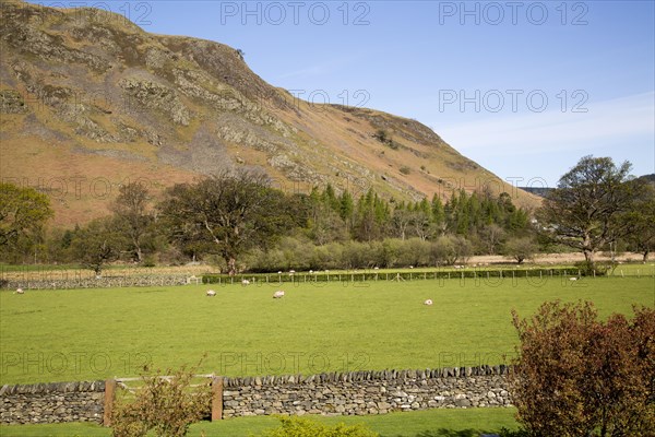 Hallin Fell, Howtown, Ullswater, Lake District national park, Cumbria, England, UK