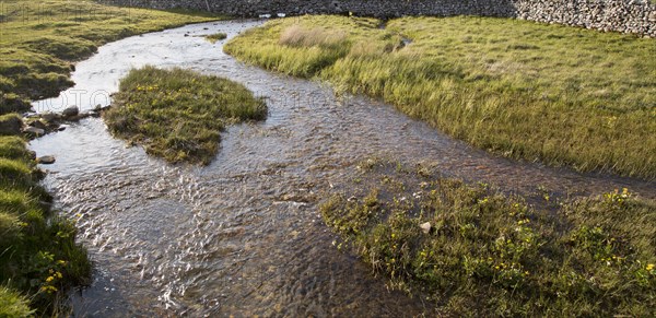 Stream flowing over limestone rock, Malham, Yorkshire Dales national park, England, UK