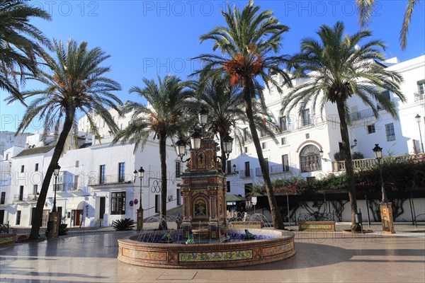 Fountain and palm trees in Plaza de Espana, Vejer de la Frontera, Cadiz Province, Spain, Europe