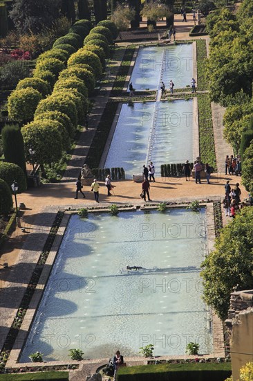 Gardens of the Alcazar de los Reyes Cristianos, Alcazar, Cordoba, Spain, Europe