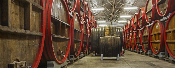 Oak barrels at Brouwerij Boon, Belgian brewery at Lembeek near Brussels, producer of geuze and kriek beer