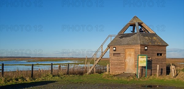 Bird hide at the nature reserve Verdronken Land van Saeftinghe, salt marsh of the Western Scheldt estuary on the border of the Netherlands and Belgium