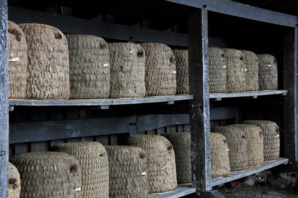 Bee hives, beehives, skeps in rustic shelter of apiary in the Lueneburg Heath, Lunenburg Heath, Lower Saxony, Germany, Europe