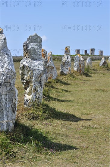 Megalithic standing stones, Alignements de Lagatjar and ruins of the Manoir de Coecilian at Crozon, Camaret-sur-Mer, Finistere, Brittany, France, Europe