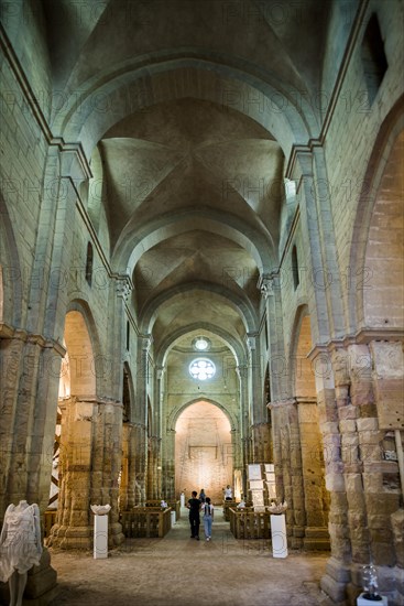 Old town, Dijon, Cote d'Or department, Bourgogne-Franche-Comte, Burgundy, France, Europe