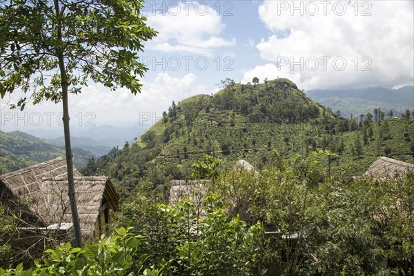 98 Acres resort luxury lodges, Ella, Badulla District, Uva Province, Sri Lanka, Asia view to Little Adams Peak, Asia