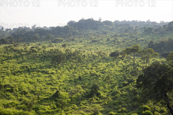 Landscape overview Hurulu Eco Park biosphere reserve, Habarana, Anuradhapura District, Sri Lanka, Asia