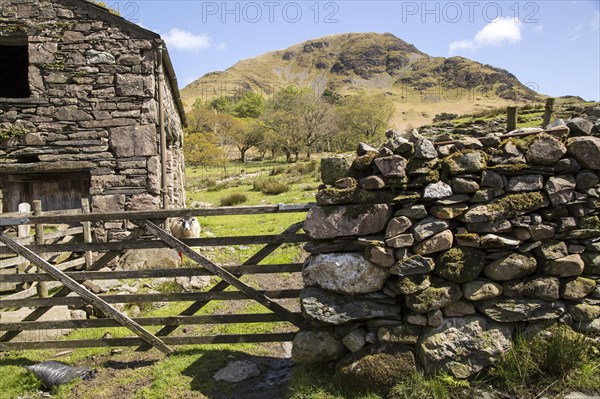 Landscape view of High Snockrigg Fell hill Buttermere, Cumbria, England, UK