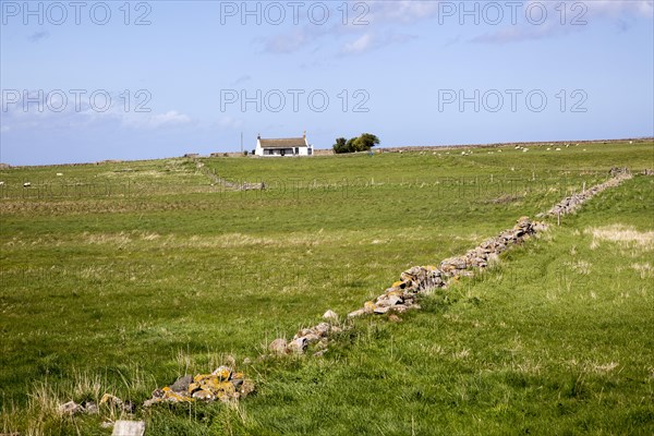 Small detached bungalow house, Holy Island, Lindisfarne, Northumberland, England, UK