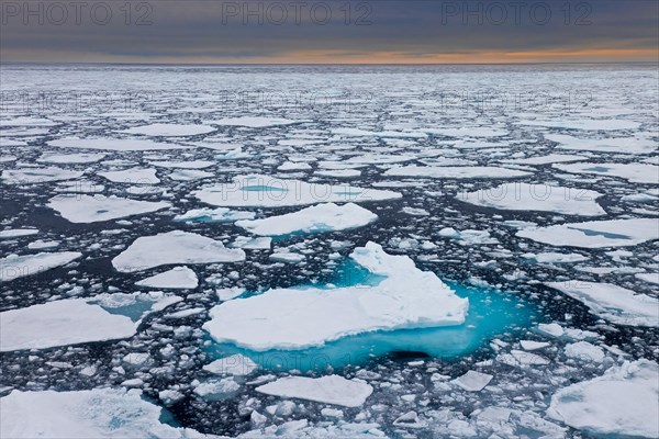 Sea ice, drift ice, ice floes floating in the Arctic Ocean at sunset, Nordaustlandet, North East Land, Svalbard, Spitsbergen, Norway, Europe