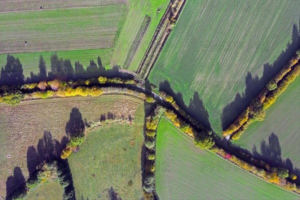 Aerial view over rural roads and bocage landscape with fields, meadows and pastures, patchwork of plots surrounded by hedges and hedgerows in autumn