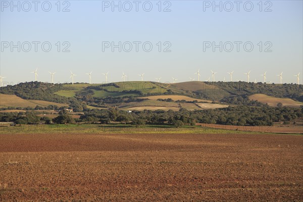 Farming landscape with wind turbines in distance, Vejer de la Frontera, Cadiz province, Spain, Europe