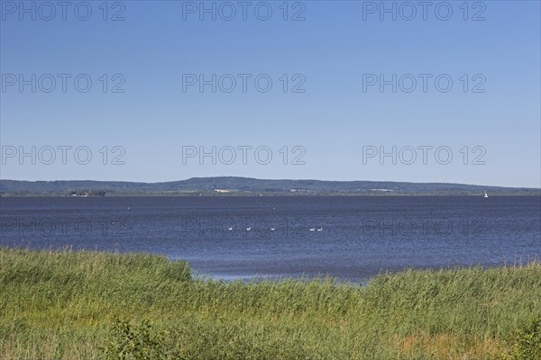 Steinhuder Meer, Lake Steinhude in the Hannoversche Moorgeest, Hanoverian Moor Geest in summer, Lower Saxony, Germany, Europe