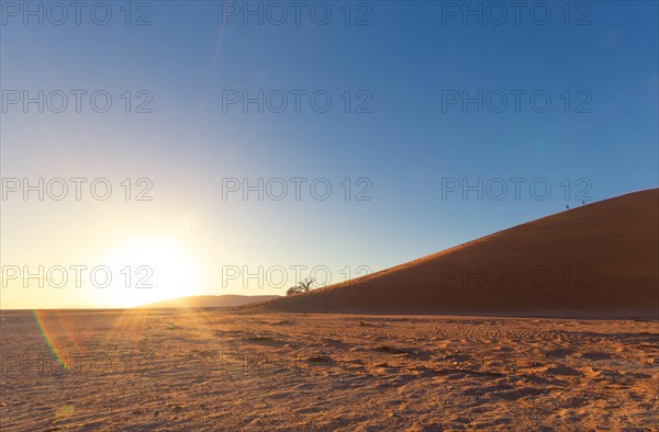 Sunrise over a vast desert landscape, Dune 45, Big daddy, sand dune, safari, wildlife, Etosha National Park, Namibia, Africa