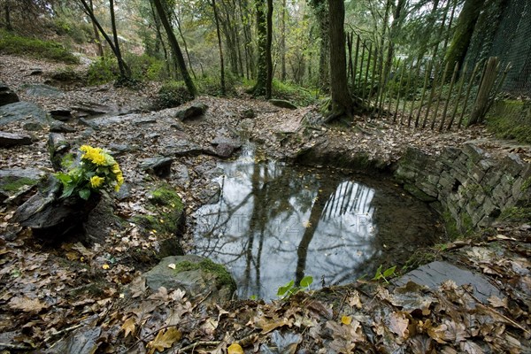 Well of Eternal Youth at Paimpont forest, Broceliande, Brittany, France, Europe