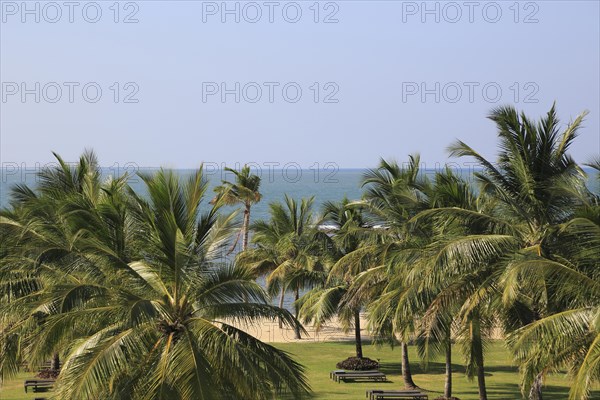 Palm trees sandy beach Amaya Beach Resort and Spa hotel, Pasikudah Bay, Eastern Province, Sri Lanka, Asia