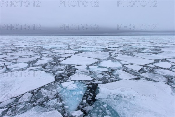 Pack ice in the Hinlopenstretet, Hinlopenstreet, strait between Spitsbergen and Nordaustlandet in Svalbard, Norway, Europe