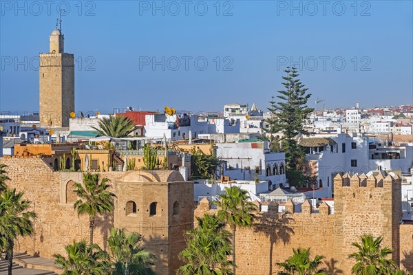 City walls of the Kasbah of the Udayas, Oudaias and Minaret of the Old Mosque in the capital Rabat at sunset, Rabat-Sale-Kenitra, Morocco, Africa