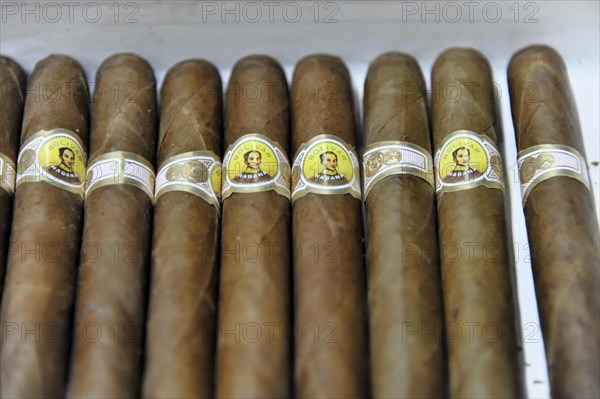 Bolivar brand cigars in a tobacco shop, Havana, Cuba, Greater Antilles, Central America, America, Central America