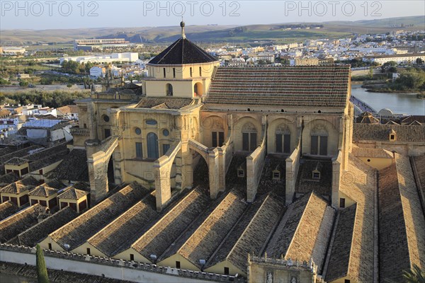 Raised angle view of Great Mosque, Mezquita cathedral, former mosque building in central, Cordoba, Spain, Europe