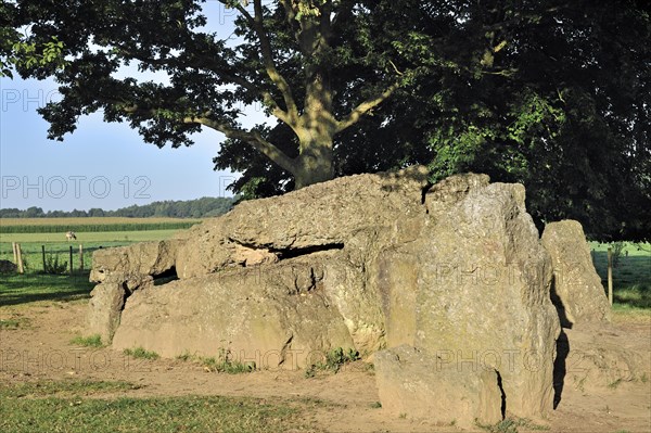 Megalithic Grand Dolmen de Weris made of conglomerate rock, Belgian Ardennes, Luxembourg, Belgium, Europe