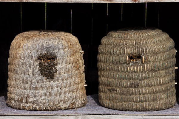 Bee hives, beehives, skeps in rustic shelter of apiary in the Lueneburg Heath, Lunenburg Heath, Lower Saxony, Germany, Europe