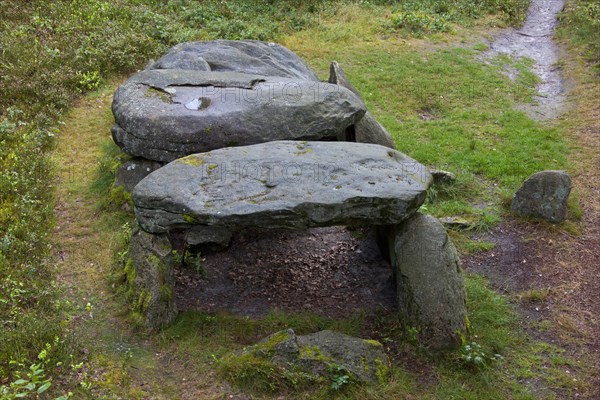 Seven Stone Houses, Sieben Steinhaeuser, dolmens from the neolithic funnelbeaker period at Bergen, Lueneburg Heath, Lunenburg Heathland, Lower Saxony, Germany, Europe