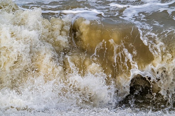 Wave crashing /rolling on beach during winter storm along North Sea coast in Zeeland, Netherlands